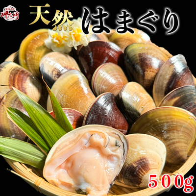 ハマグリ釿 3寸2分 （ハマグリ釿 3寸2分 （愛媛県レッドデータ